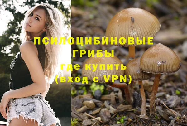 mix Абинск