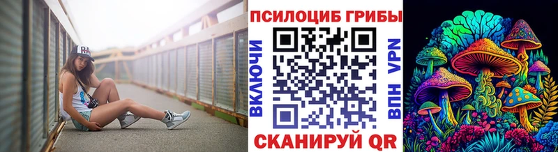 гидра ссылка  Инта  Галлюциногенные грибы мицелий 